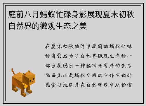 庭前八月蚂蚁忙碌身影展现夏末初秋自然界的微观生态之美